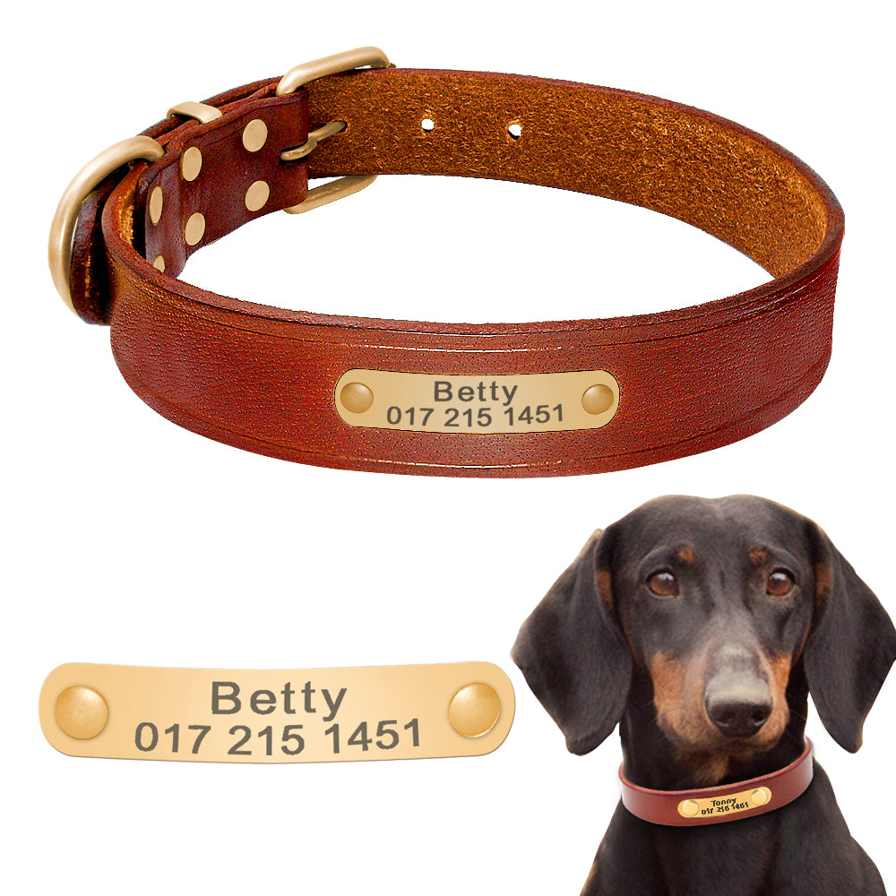 "Personalized Leather Dog Collar — Engraved Name & Phone Number"