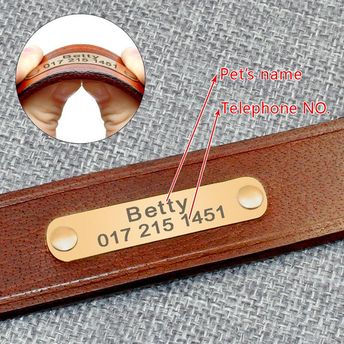"Personalized Leather Dog Collar — Engraved Name & Phone Number"
