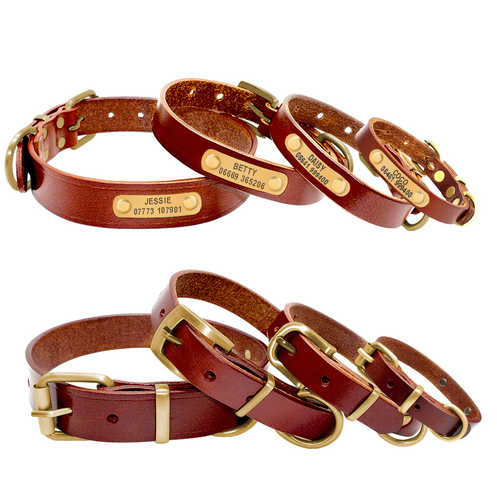"Personalized Leather Dog Collar — Engraved Name & Phone Number"