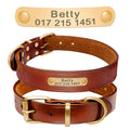 "Personalized Leather Dog Collar — Engraved Name & Phone Number"